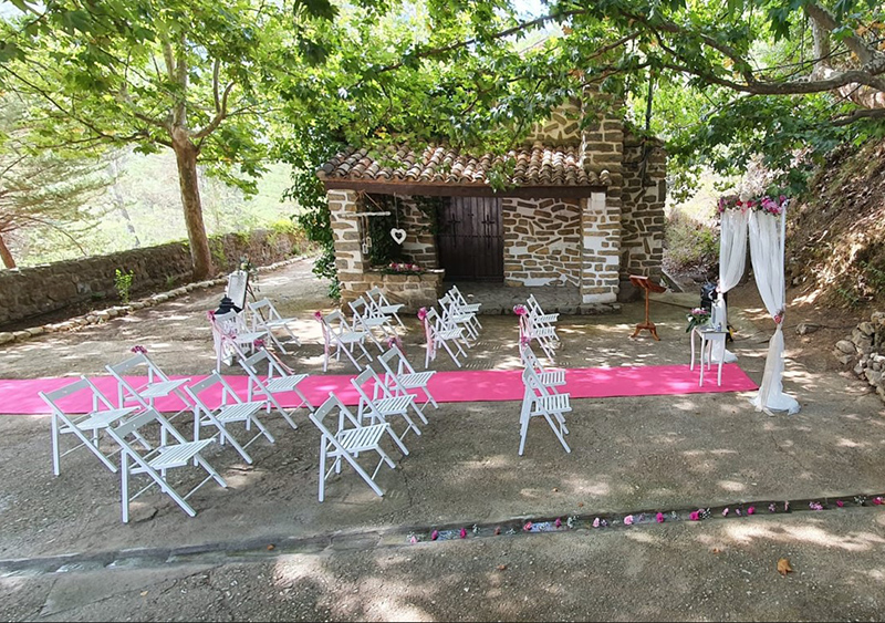 2da foto (boda foto en carrusel) ok